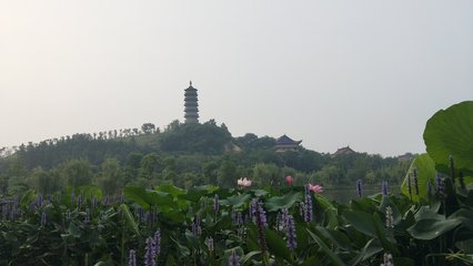 馬鞍山市當(dāng)涂縣提署中路 便利生活與城市繁華的交匯點(diǎn)