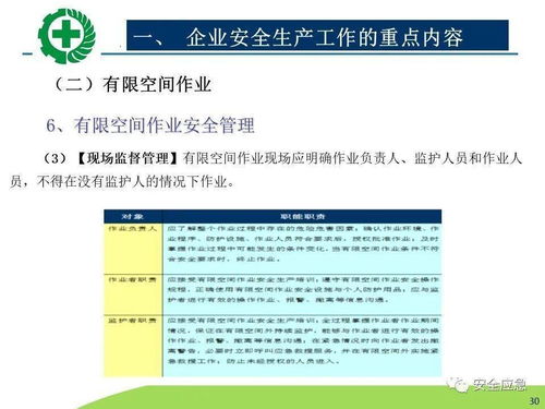 生產(chǎn)經(jīng)營(yíng)單位安全生產(chǎn)檢查 內(nèi)容、程序、方法及網(wǎng)絡(luò)技術(shù)服務(wù)的應(yīng)用